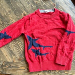 Boys sweater
